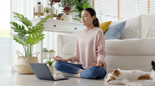 Live-Unterricht im MBSR Onlinekurs per Videokonferenz