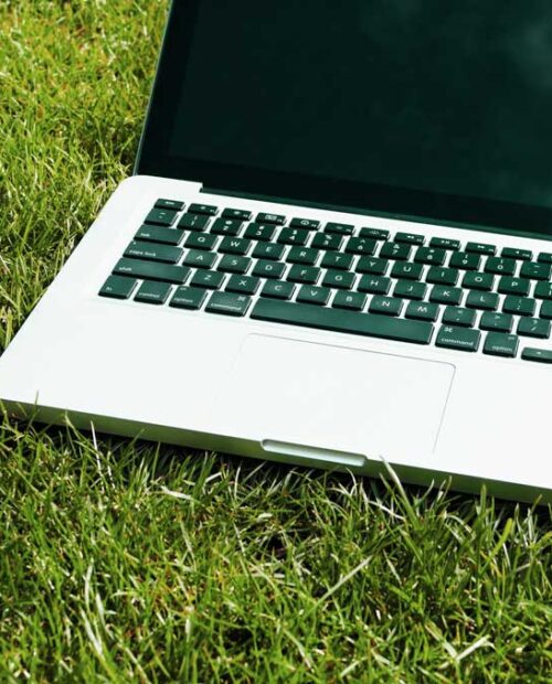 MSC Onlinekurs von achtsamkeit-leben.de – Achtsames Selbstmitgefühl live online lernen