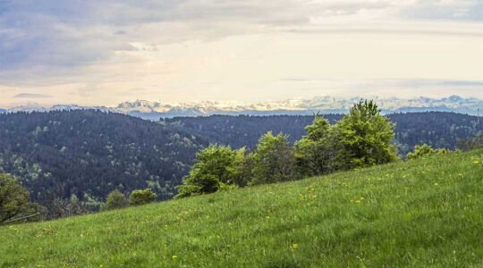 Einen Tag innehalten
