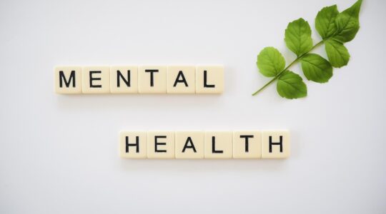 Buchstabenwürfel bilden die Worte „Mental Health“ neben einem grünen Zweig – MBSR Achtsamkeitstraining