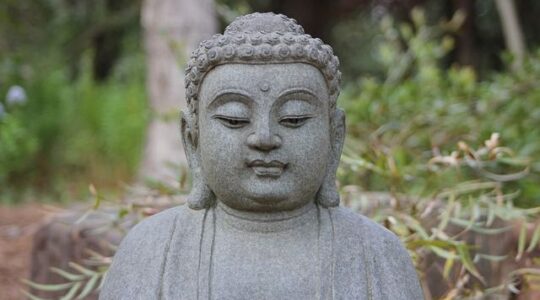 Geführte Meditationen am Achtsamkeitstag